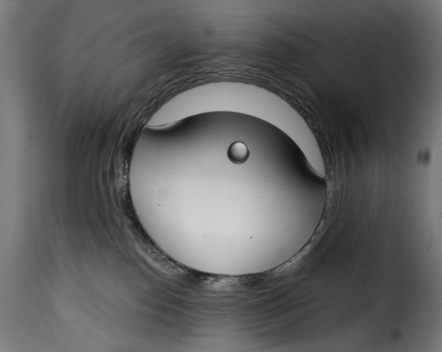 X0000115250186200911201651