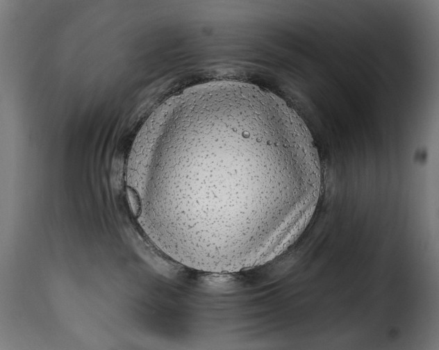 X0000115250189200911201651