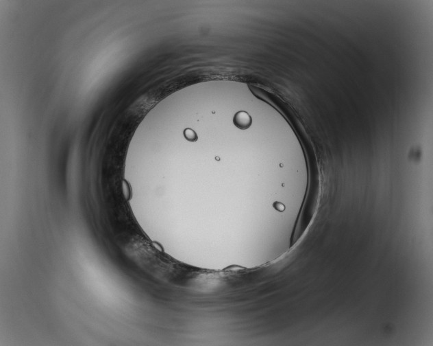 X0000115250190200911201651