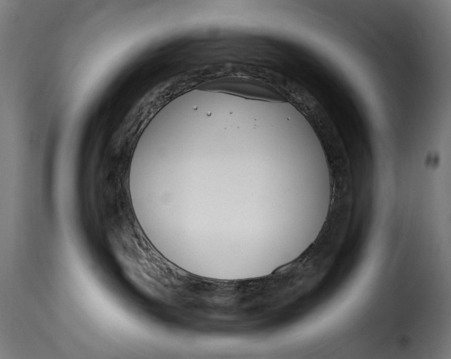 X0000115250191200911201651