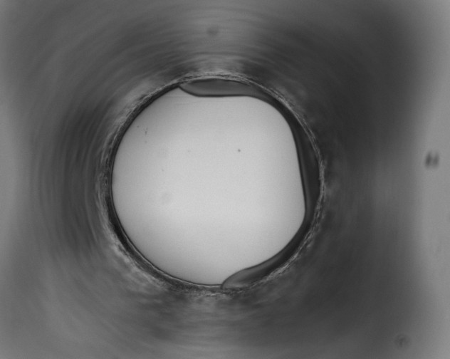 X0000115250193200911201650