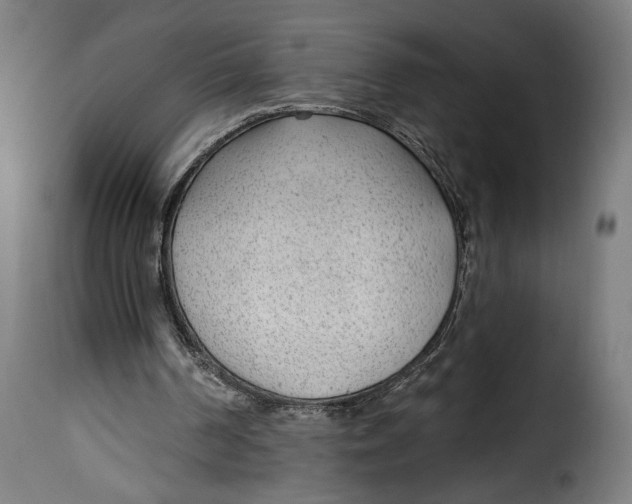 X0000115250194200911201650