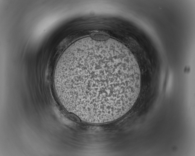 X0000115250195200911201650