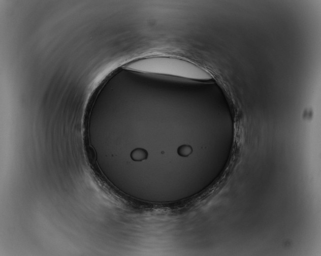 X0000115250196200911201650