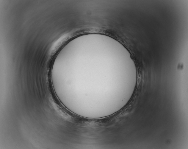 X0000115250197200911201650