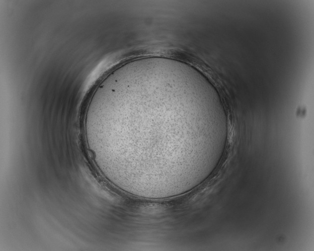 X0000115250198200911201650