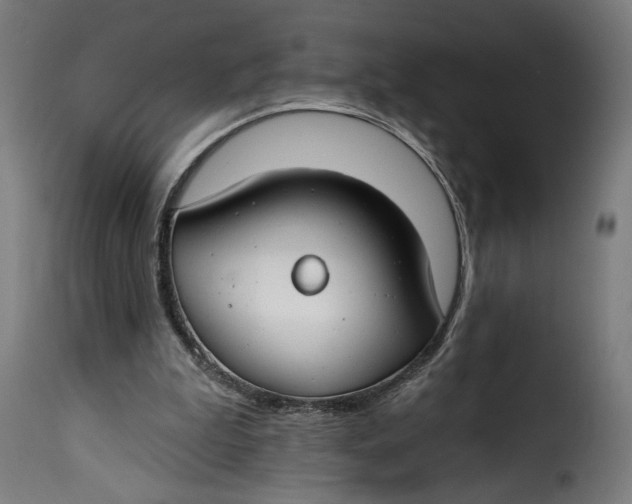 X0000115250199200911201650