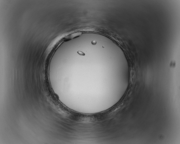 X0000115250200200911201650