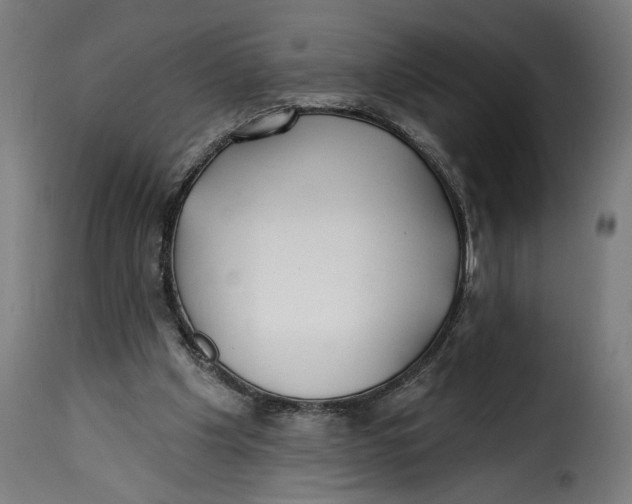 X0000115250201200911201650