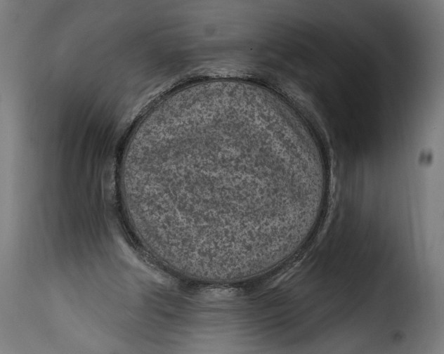 X0000115250202200911201650