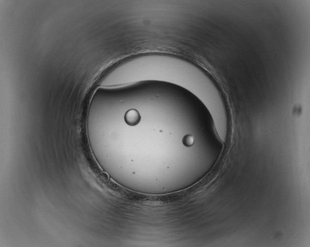 X0000115250203200911201650