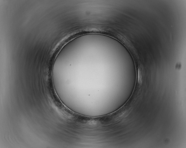 X0000115250204200911201650