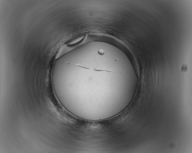 X0000115250206200911201650