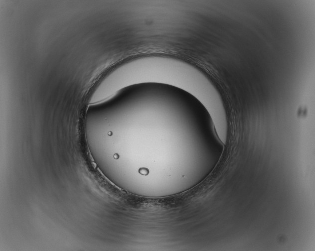 X0000115250207200911201650