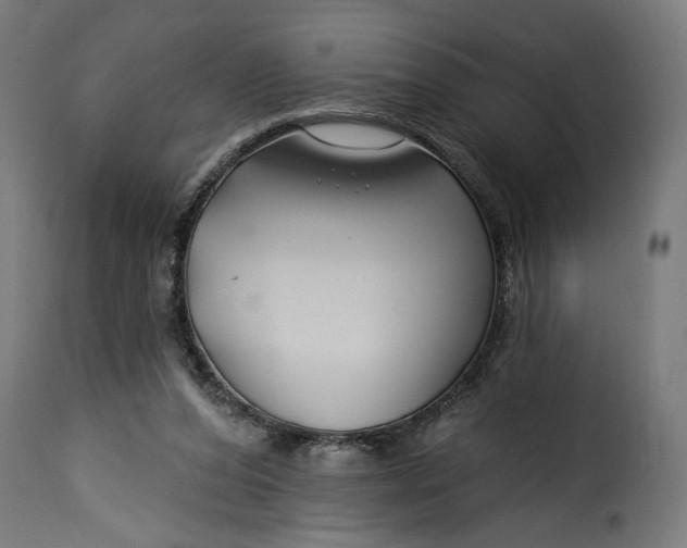 X0000115250208200911201650