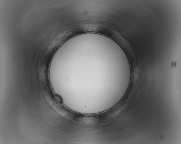 X0000115250209200911201650