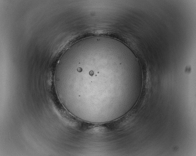 X0000115250210200911201650