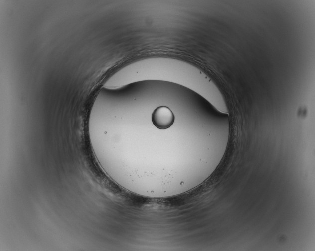 X0000115250211200911201650