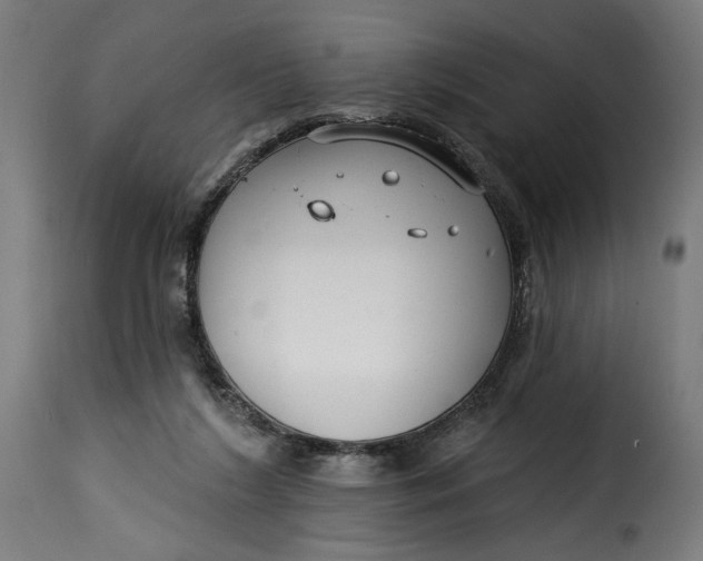 X0000115250212200911201650