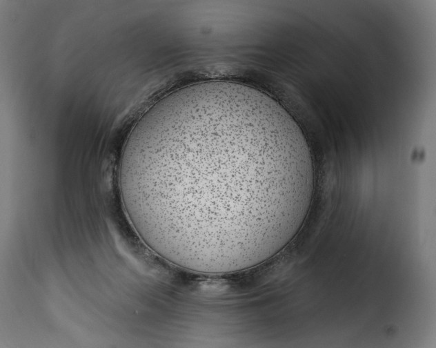 X0000115250214200911201650