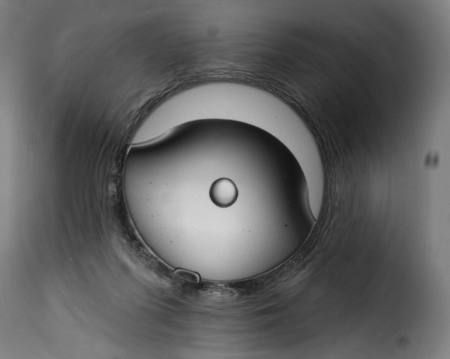 X0000115250215200911201650