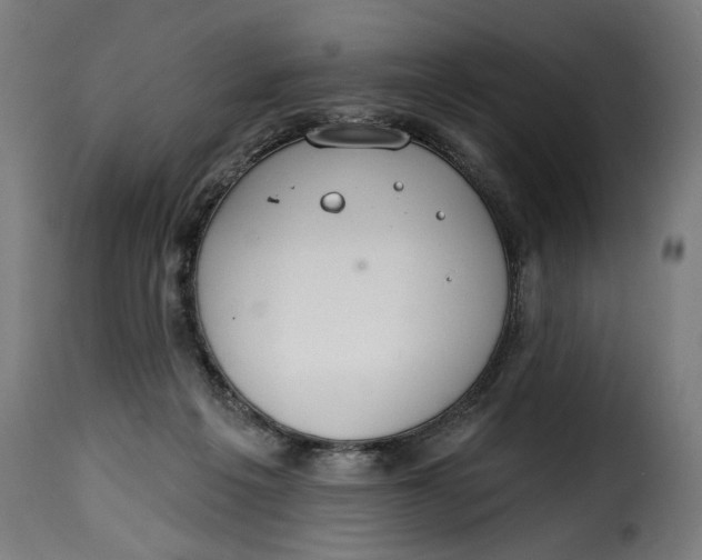 X0000115250217200911201650