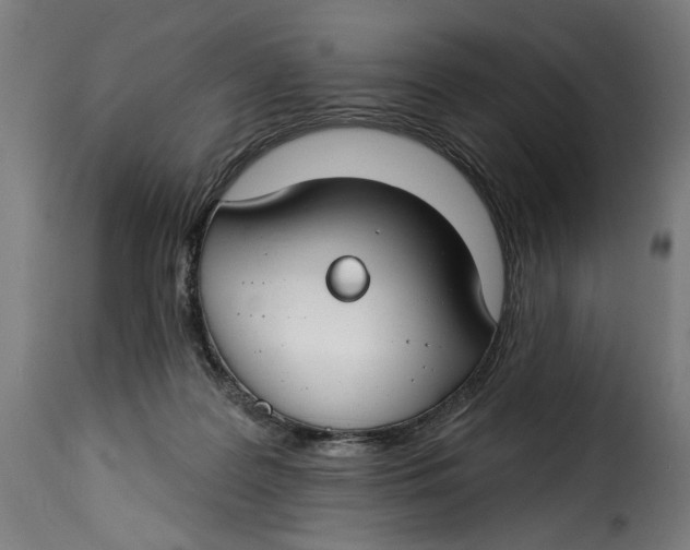 X0000115250219200911201650