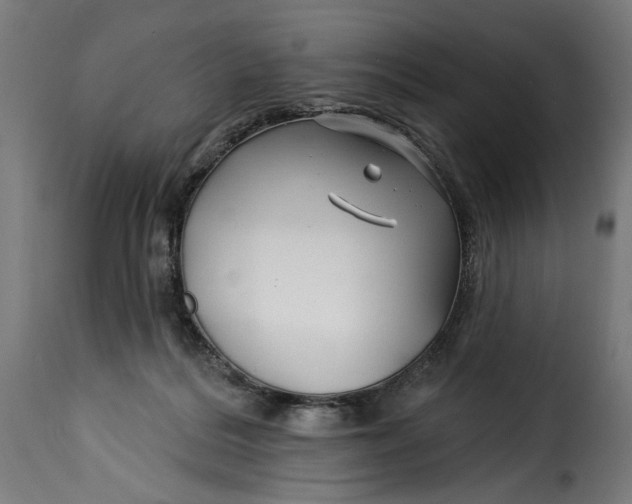 X0000115250220200911201649