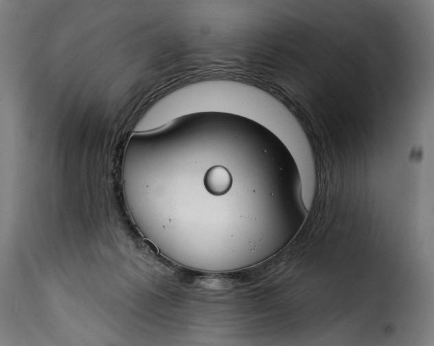 X0000115250221200911201649