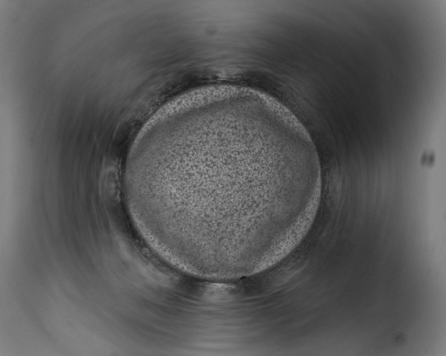 X0000115250222200911201649