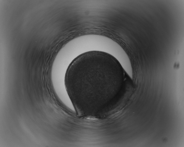 X0000115250223200911201649