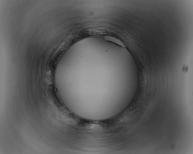 X0000115250224200911201649