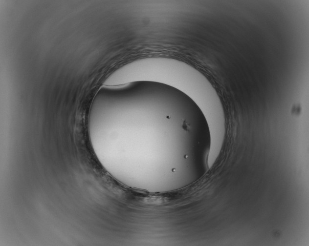 X0000115250225200911201649