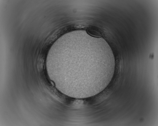 X0000115250227200911201649