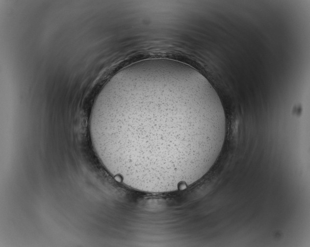 X0000115250228200911201649