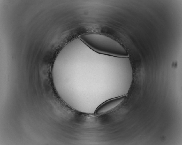 X0000115250229200911201649