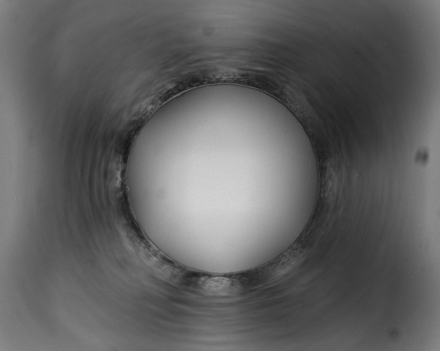 X0000115250230200911201649