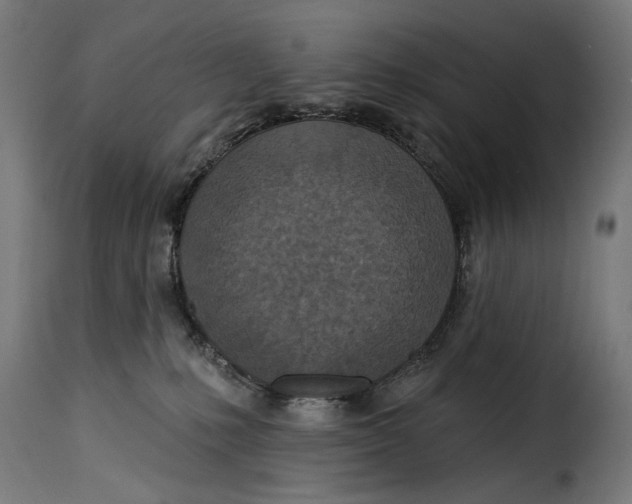 X0000115250231200911201649