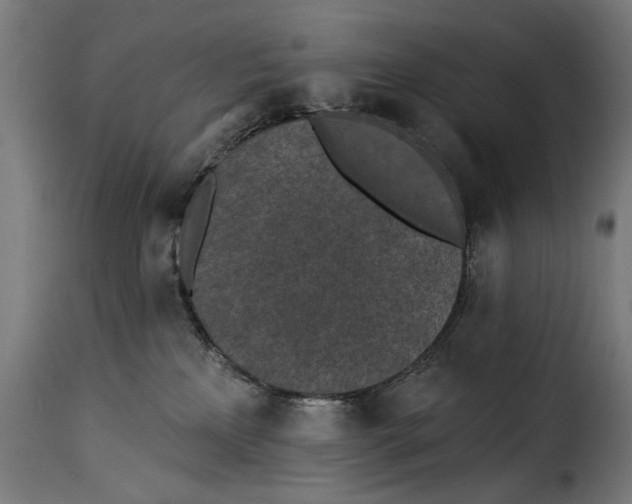 X0000115250233200911201649