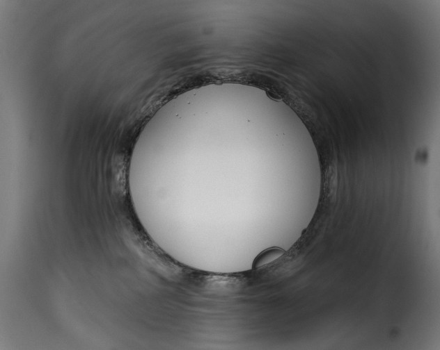 X0000115250234200911201649