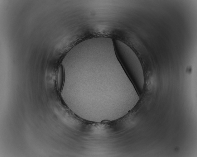 X0000115250235200911201649