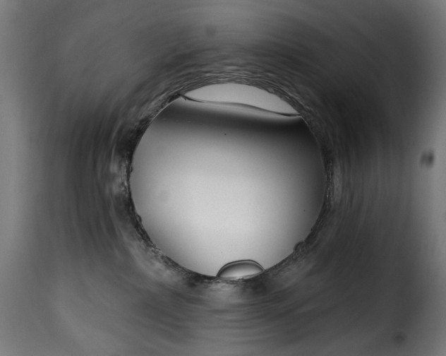 X0000115250236200911201649