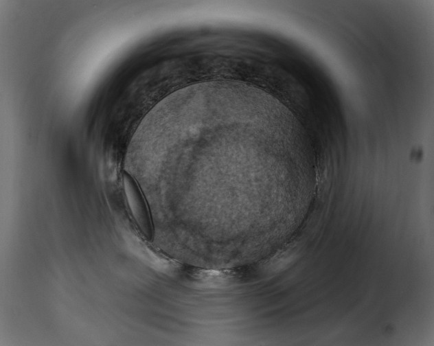 X0000115250239200911201649