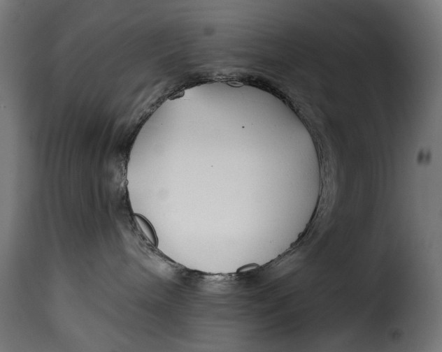 X0000115250240200911201649