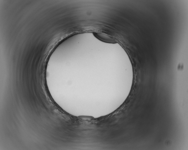 X0000115250241200911201649