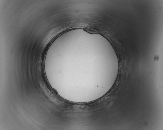 X0000115250242200911201649