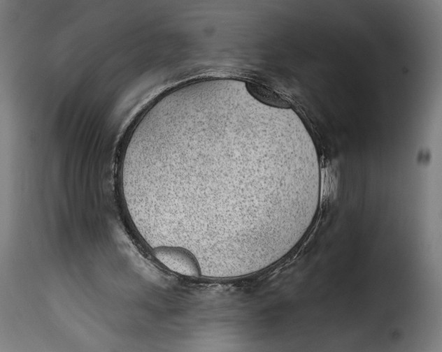 X0000115250243200911201649