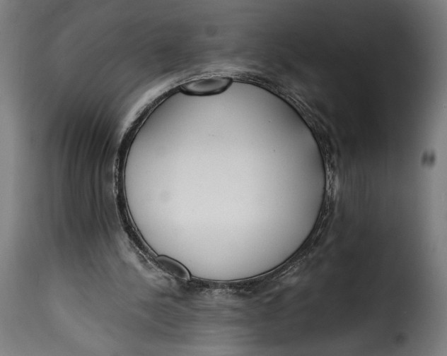 X0000115250244200911201649