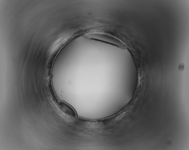 X0000115250245200911201649