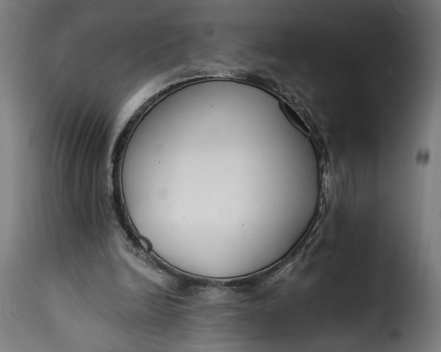 X0000115250246200911201649